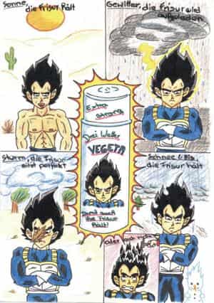 4 Wetter Vegeta