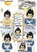4 Wetter Vegeta