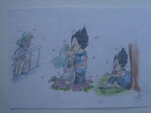 bulma&Vegeta