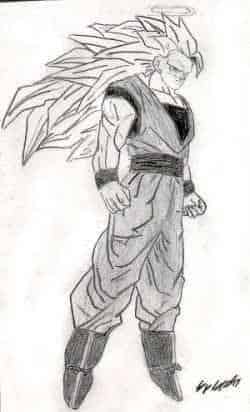 son-goku ssj3