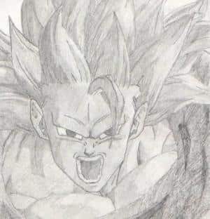 Son-Goku SSJ3