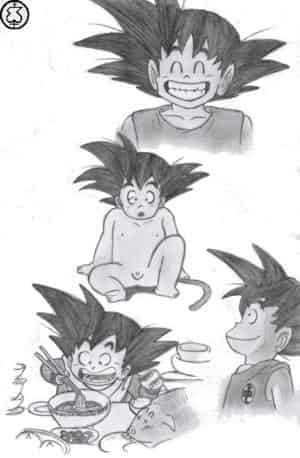 Son-Gokus verschiedene Seiten