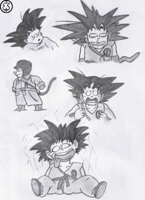 Son-Goku`s Gesichter