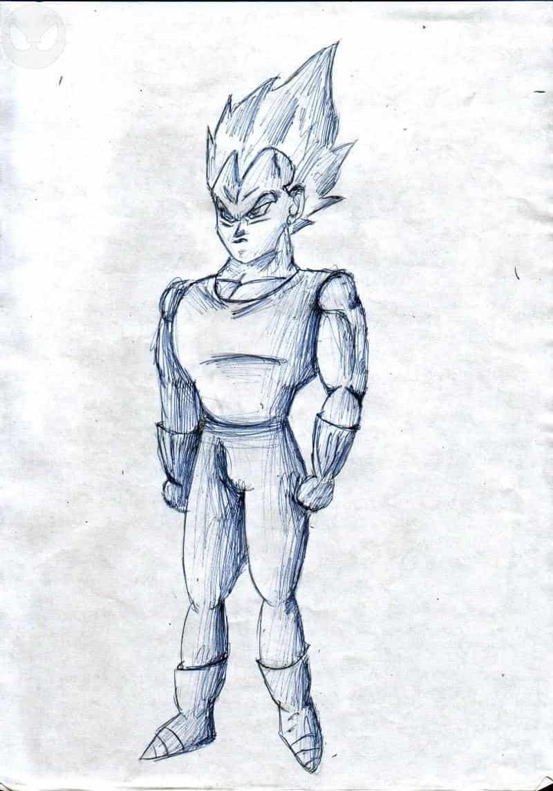 Vegeta!!!