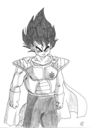 Klein Vegeta
