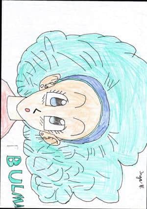 Bulma (ansehen)