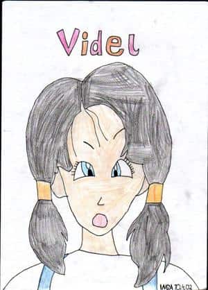 VIDEL