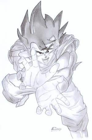 Kame Hame Ha - Son Goku