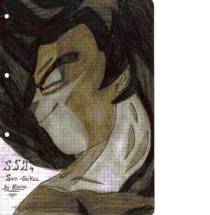 SSJ4 Goku