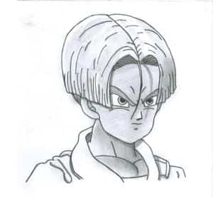 Trunks