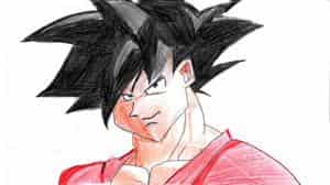 Standart Goku Pic