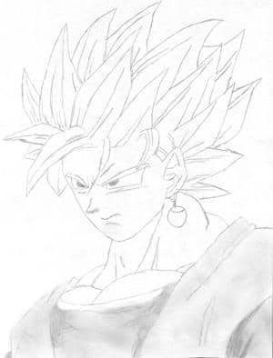 Vegetto