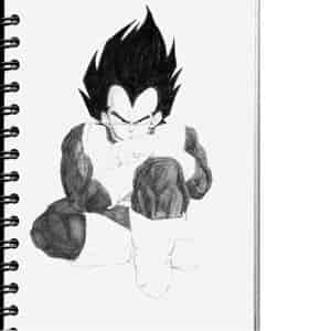 Vegeta (Versuch Nr2)