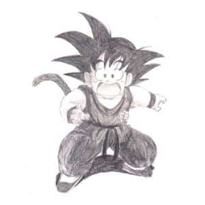 kleiner SonGoku