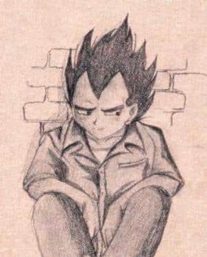vegeta sit