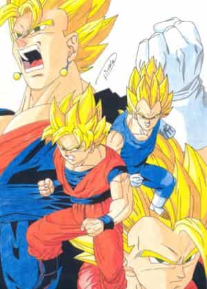 Fusion: Goku & Vegeta