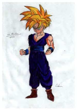 gohan