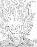 vegeta goes mad