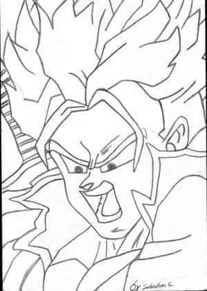 Trunks