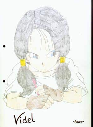 Videl