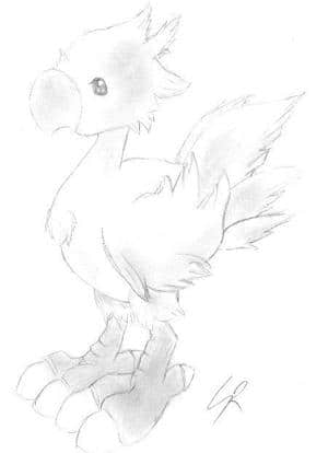 Bébé chocobo doux;)