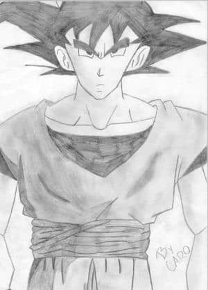 Son Goku??