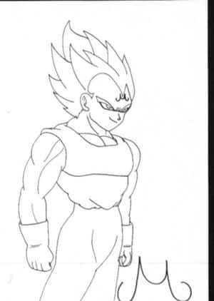 Vegeta M