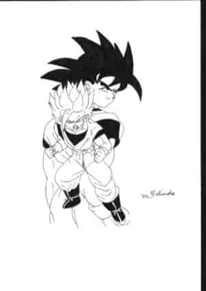 Goku & Gohan