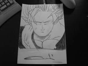 trunks
