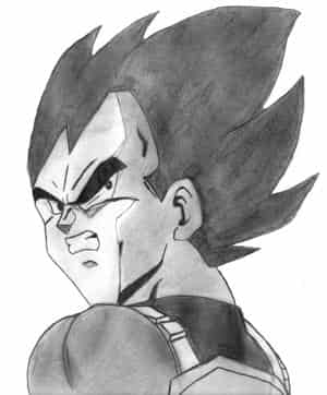 Vegeta ( hoffentlich nicht so zerdrückt...)