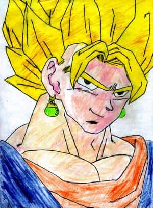 vegetto