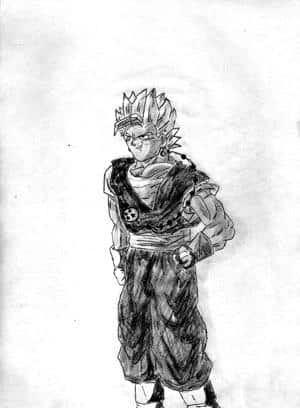 fusion goku-gohan