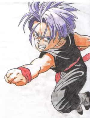 Trunks