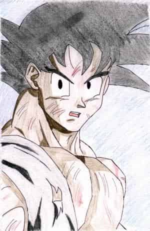 Verletzter Goku