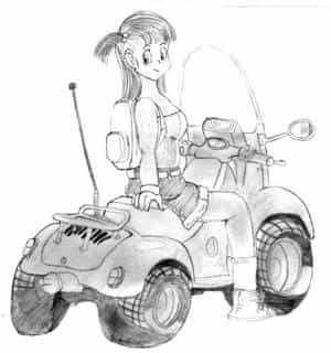 bulma