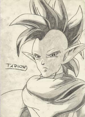 Tapion