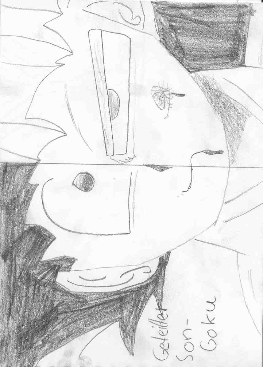 Der geteilte Son-Goku