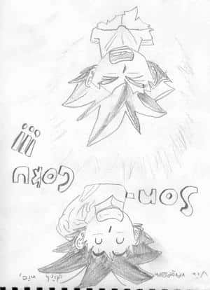 Ein Apell an Son-Goku