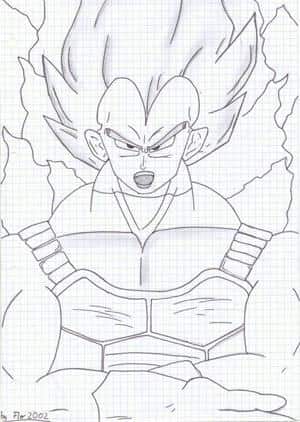 Vegeta2