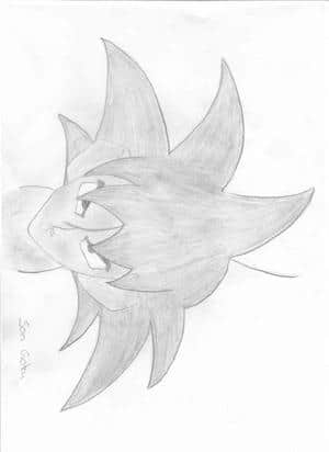 Son Goku