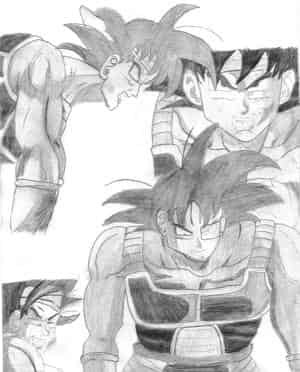 Verschiedene Bardocks