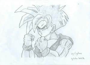 sohn gohan
