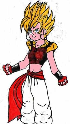 Ssj Para