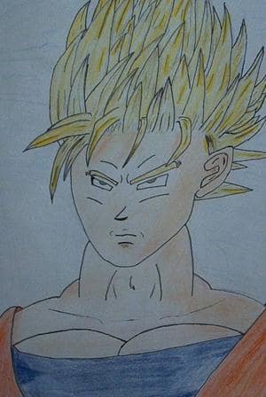 Mrx`s GOKU