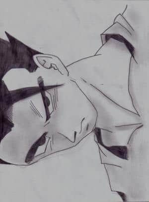 gohan