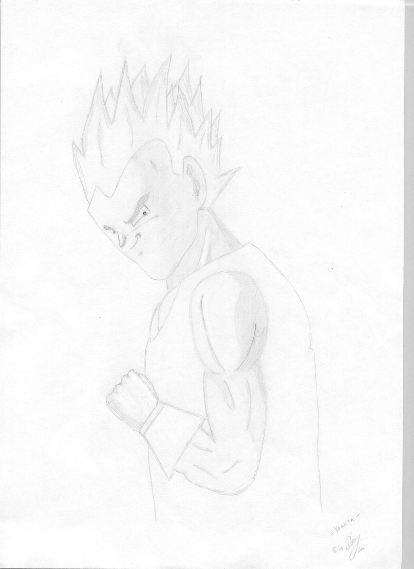 -Vegeta-