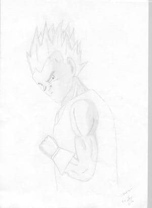 -Vegeta-