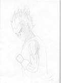 -Vegeta-