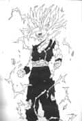 Son Gohan Presents by: Animania-z.de