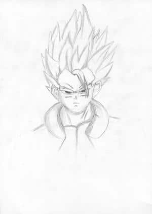 Gogeta (verbessert)
